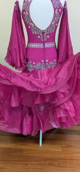 Distinct Design Ballroom Dress